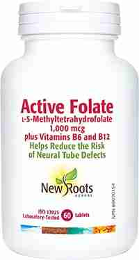 2038_NRH_Active_Folic_Acid_60t_EN