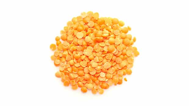 Organic Split Red Lentils Bulk