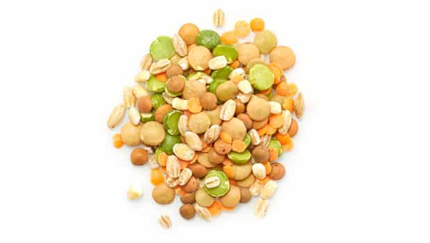Organic Sunny Soup Mix Bulk