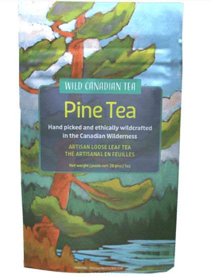 5S4USYQD05-white-pine-tea
