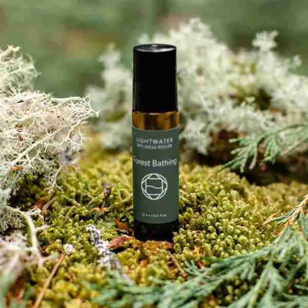 7GP1FQ6ST5-forest-bathing-wellness-roller-2