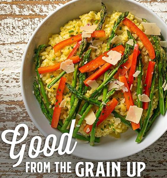Lundberg Organic Creamy Parmesan Risotto, 156G