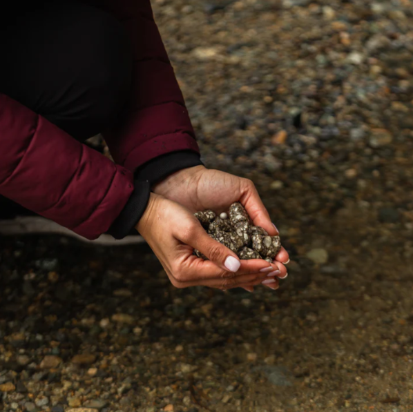 Santevia Mineral Stones