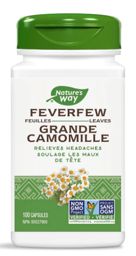 C4BAEUPVAU-feverfew