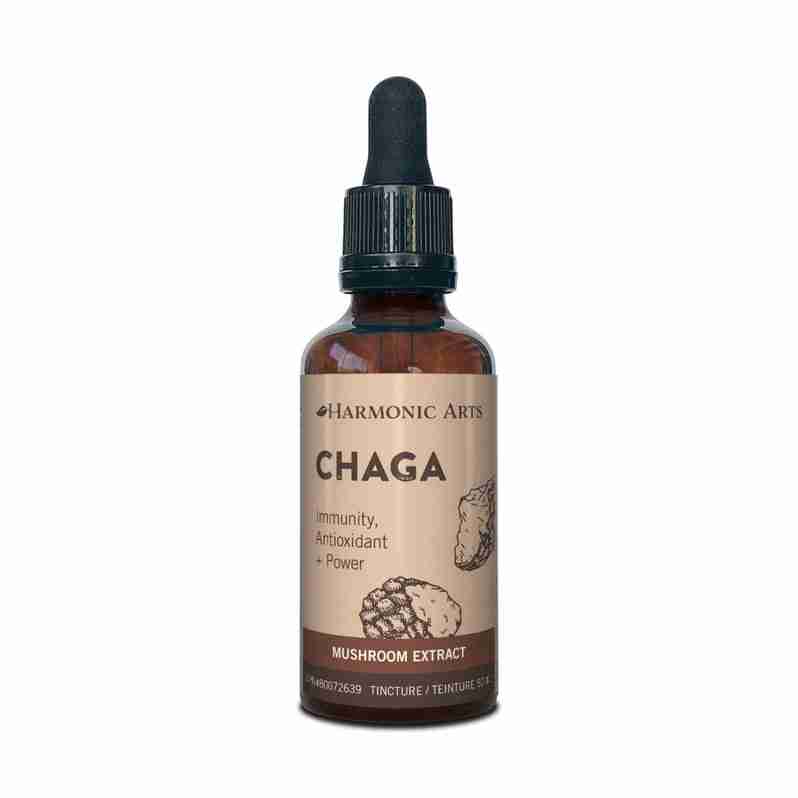 Chaga_dab796e2-828b-4177-948d-932231523012_798x798