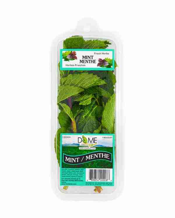 Dome-Fresh-Mint-600x750-1