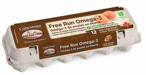 Free-Run-Omega-3-1