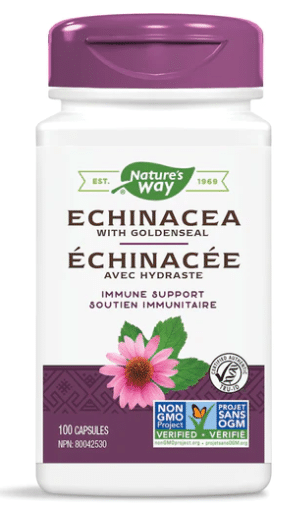G64BOO8CVA-echinecea