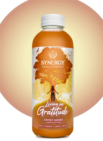 GT's Living In Gratitude Kombucha, 480Ml
