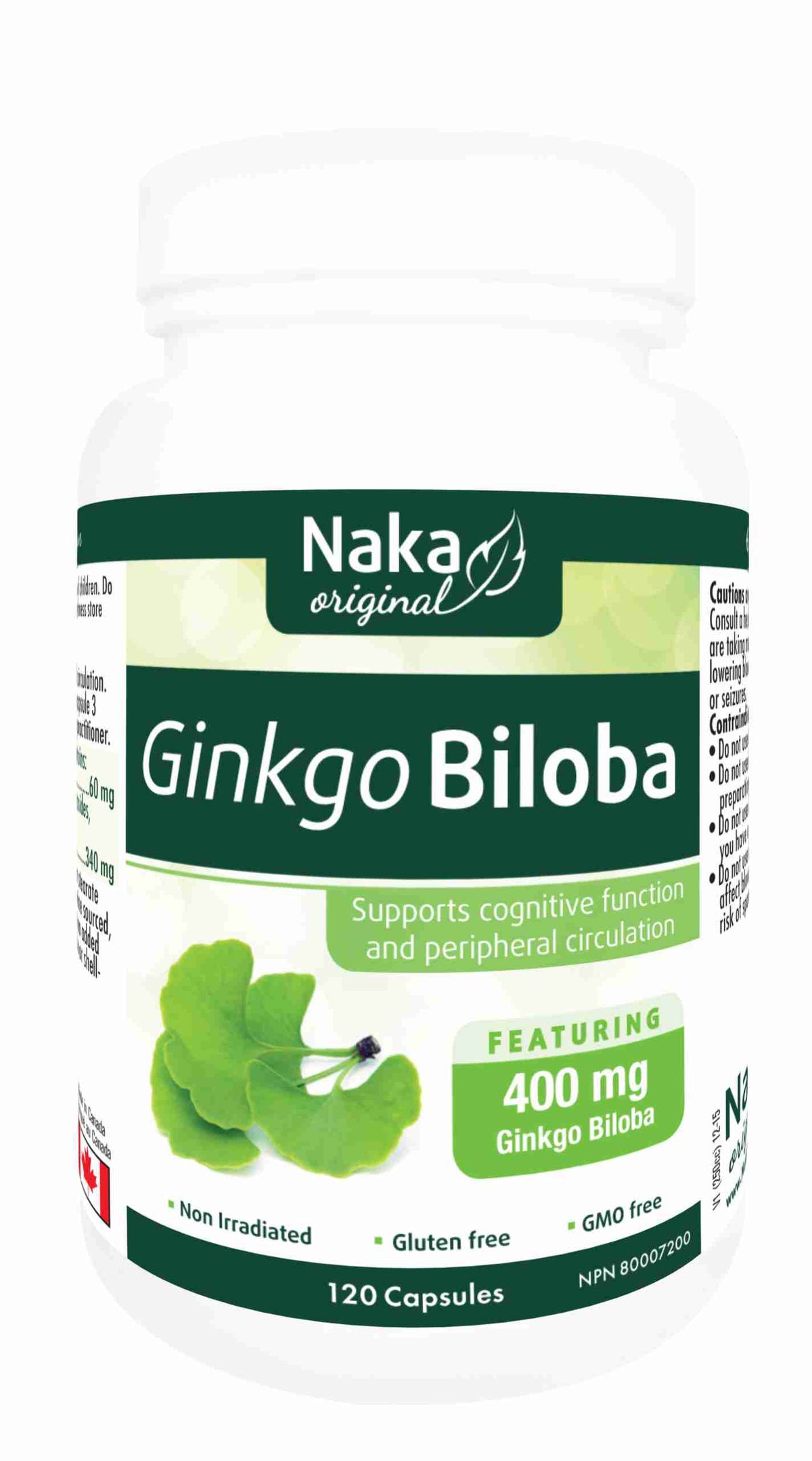 Ginkgo-Biloba-scaled-1