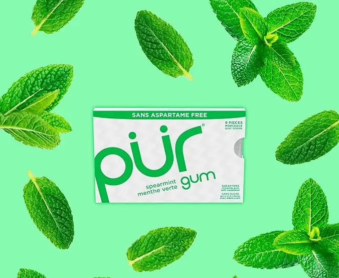Pur Gum - Spearmint, 9Pc