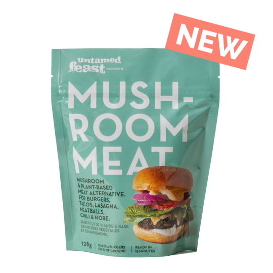 MushrooMeat-Spring-Single-New_540x
