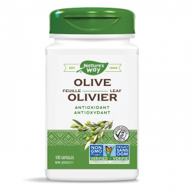 NW-Olive-leaf