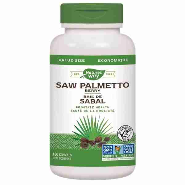 NW-Saw-palmetto