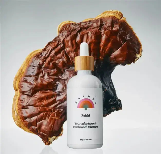 Rainbo Reishi Adaptogenic Mushroom Tincture, 100Ml