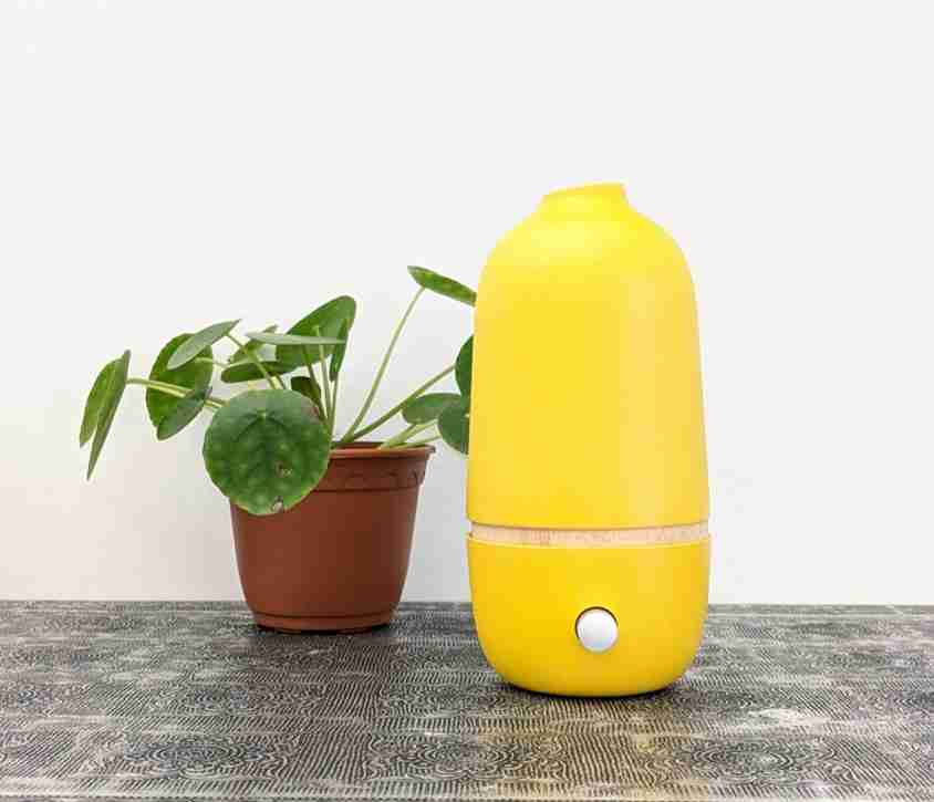 Ona-Lemon-2
