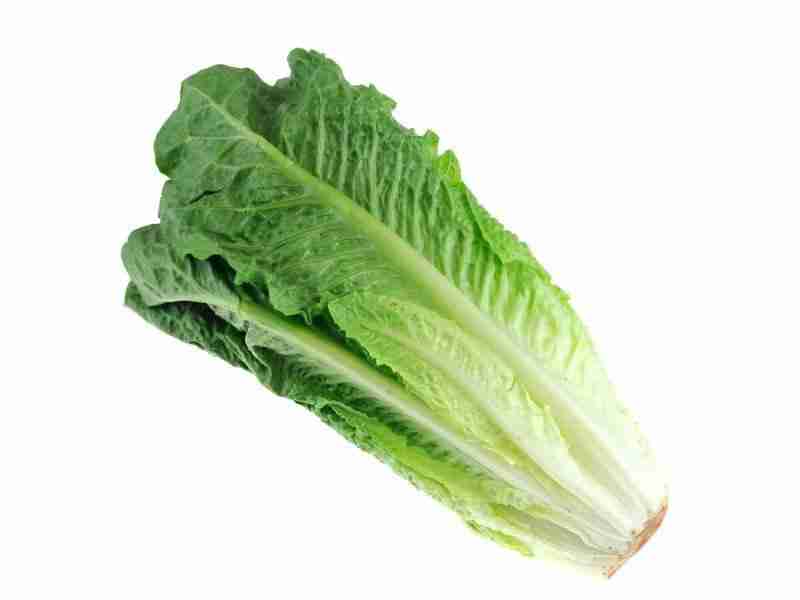 Organic-Romaine