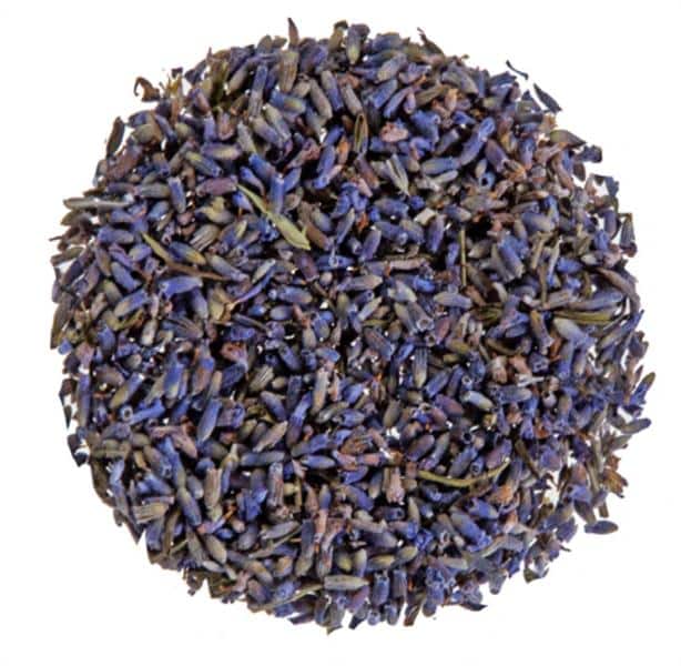French Lavender  Looseleaf