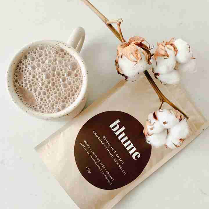 Reishi-Hot-Cacao-3