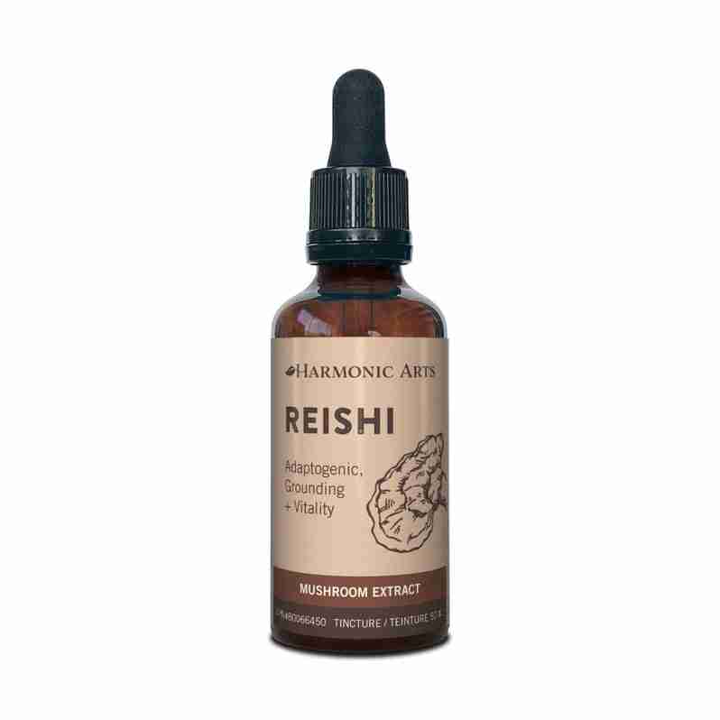 Reishi_cb7d4aa3-0f45-42fc-9943-88646f394023_798x798