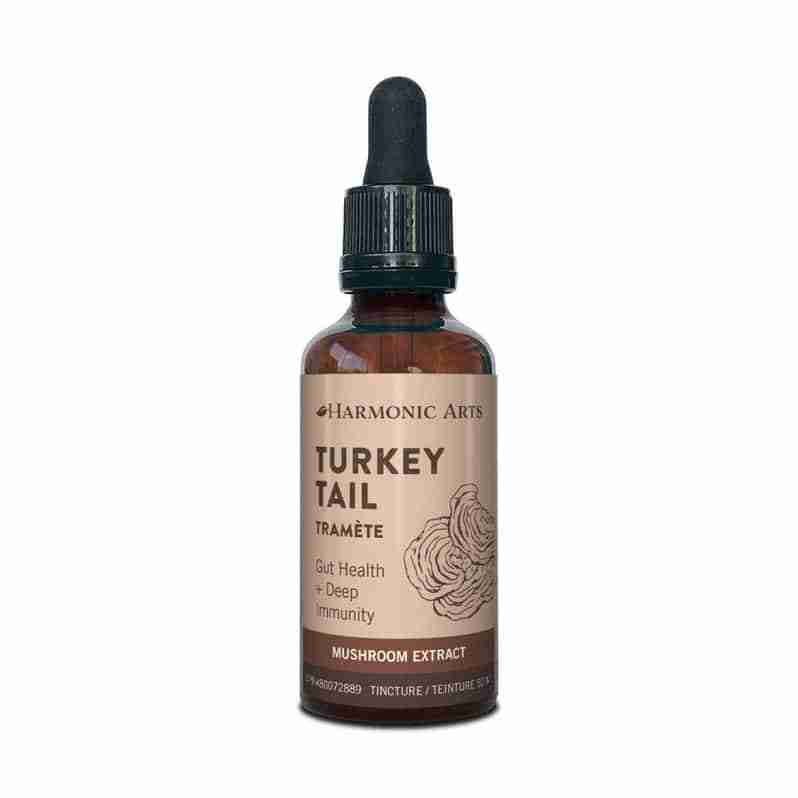 Turkey-Tail_2484e316-306c-4d10-ae0a-600b1c2cdcd4_798x798