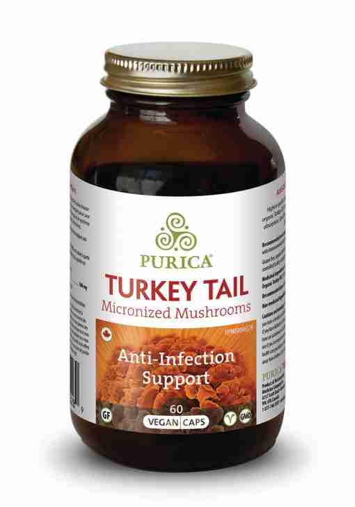 Turkey-tail-60
