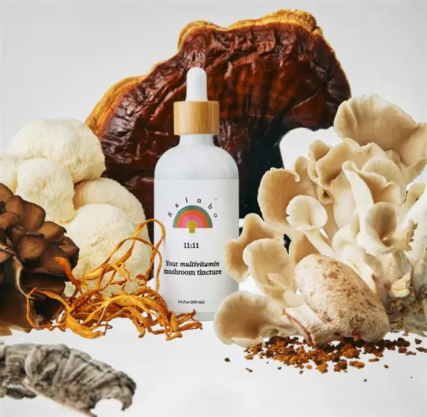 Rainbo 11:11 Multi Mushroom Tincture, 100Ml