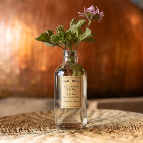 Evanhealy - Rose Geranium Hydrosoul, 4 Oz