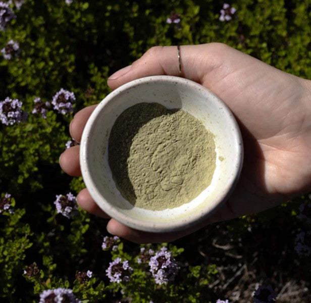 Evanhealy - Green Tea Clay, 1 Oz