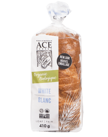 Y6QOT8GO8U-Ace-Bakery