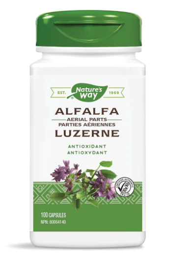 alfalfa