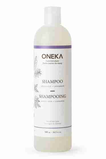 angelica-shampoo