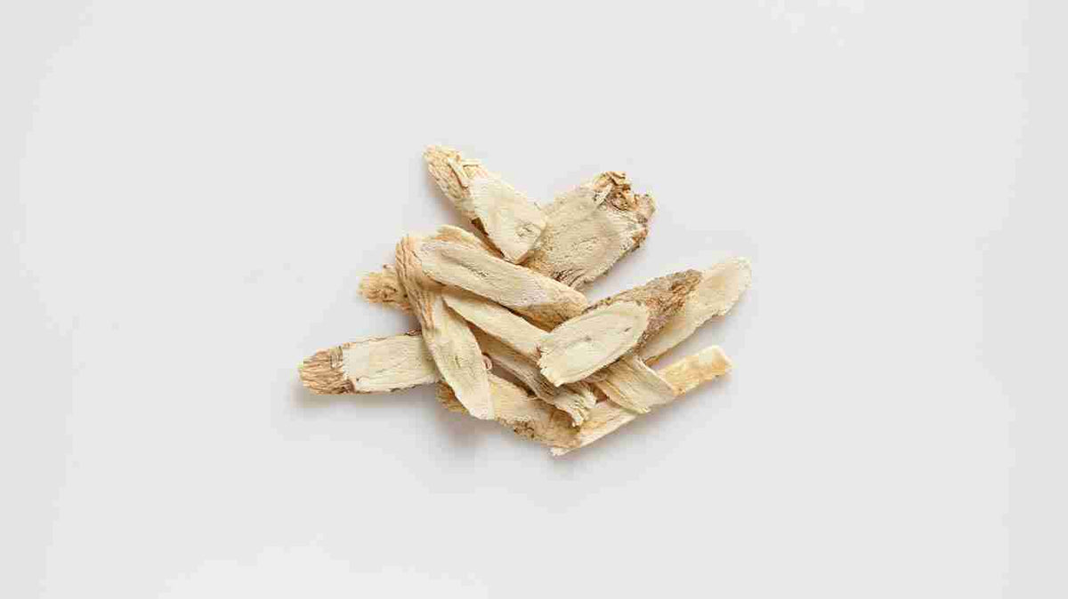 astragalus-root-1296x728-feature