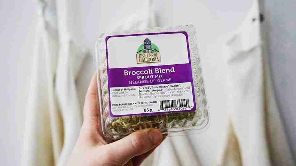 brocolli-blend