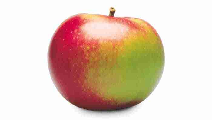 certified-orangic-macintosh-apple