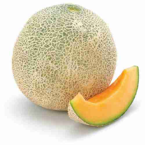 certified-organic-cantaloupe