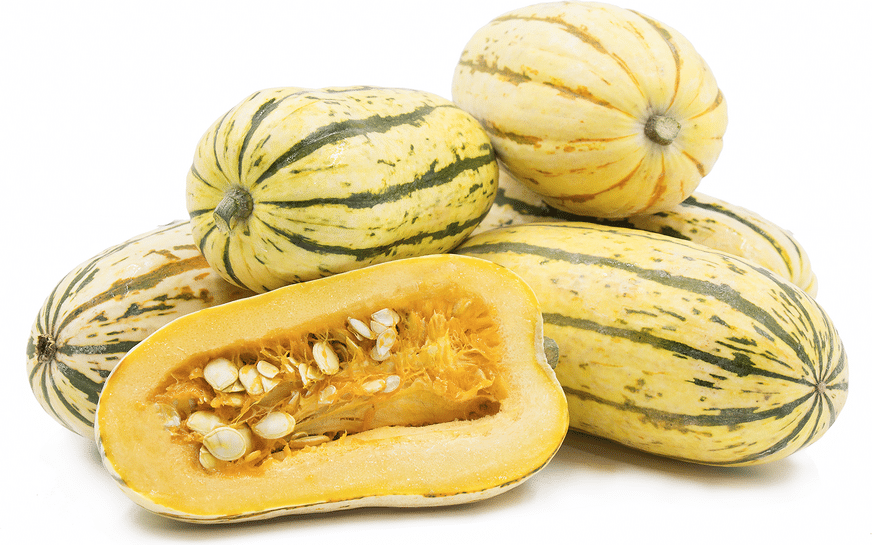 certified-organic-delicata-squash