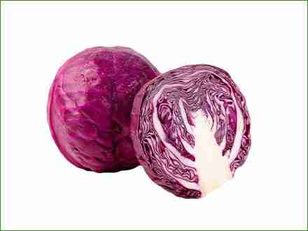certified-organic-purple-cabbage