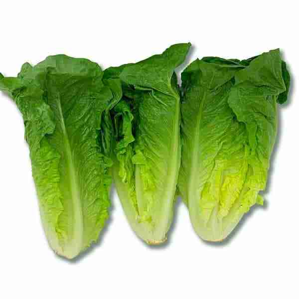 certified-organic-romaine-hearts-3-pack