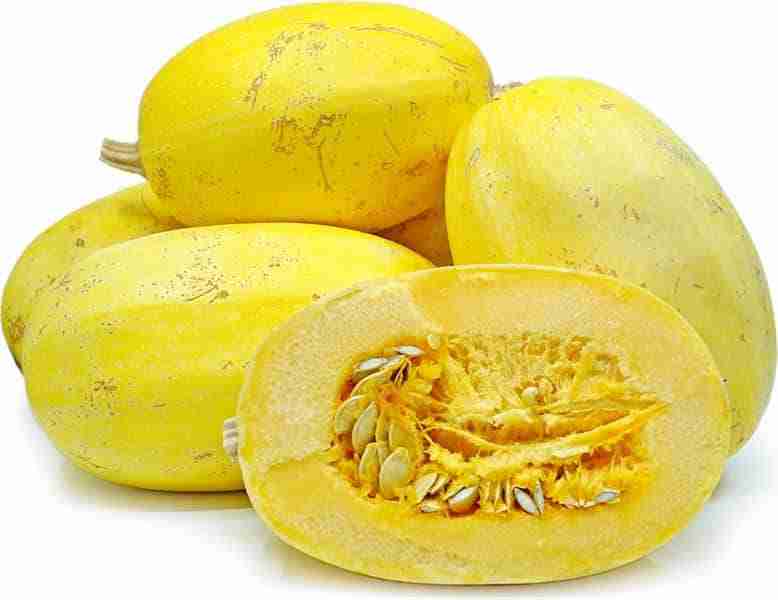 certified-organic-spaghetti-squash