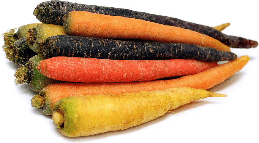 certified-organic-tri-colored-carrots-2lb