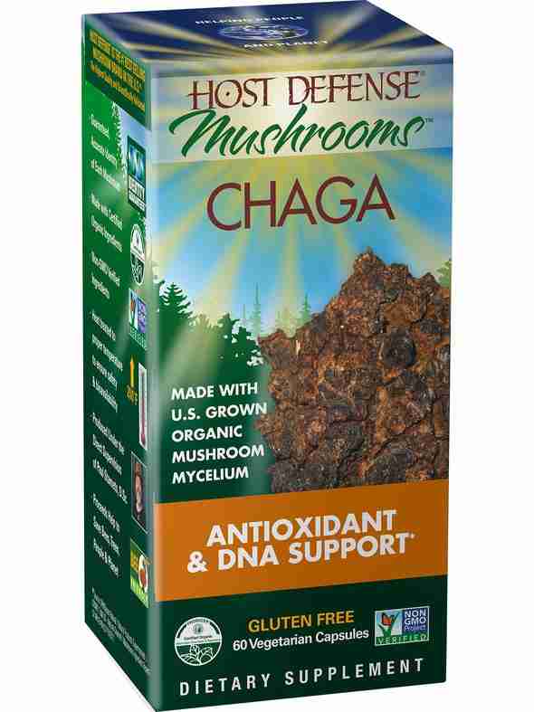 chaga-cap