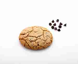 chocolate-chipcookie