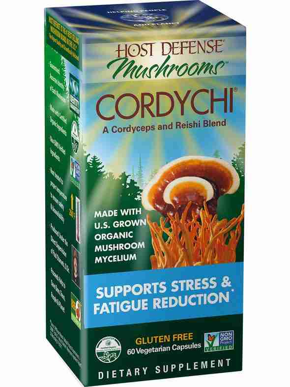 cordychi-60