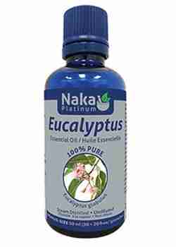 eucalyptus