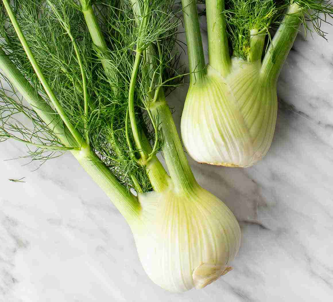 fennel