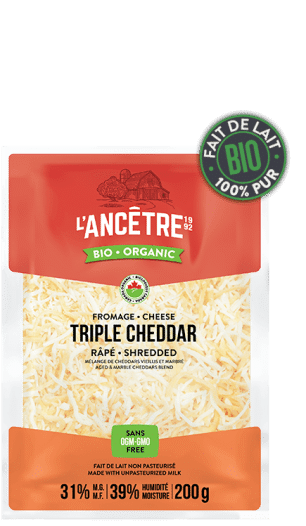 fr-triple-cheddar-306x526-1