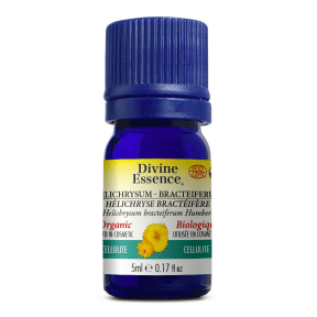 helicrysum.png