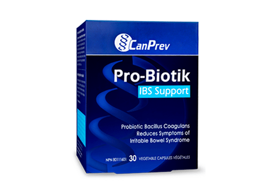 ibssupport