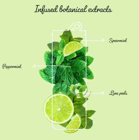 mojito